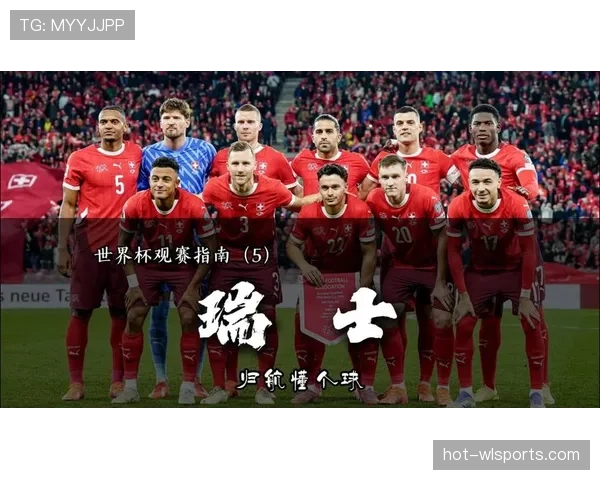 瑞士国家男子足球队近期在热身赛中尝试多套战术组合